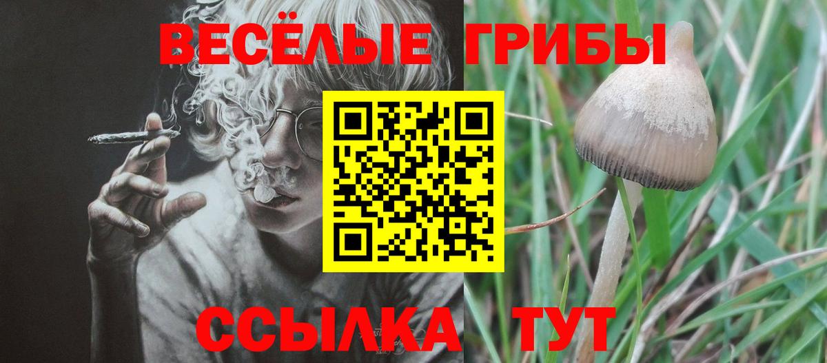 Псилоцибиновые грибы Magic Shrooms  Вход с VPN  Карасук  Псилоцибиновые грибы GOLDEN TEACHER 